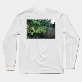 Twist and Turn - Climbing Plant in Summer Long Sleeve T-Shirt